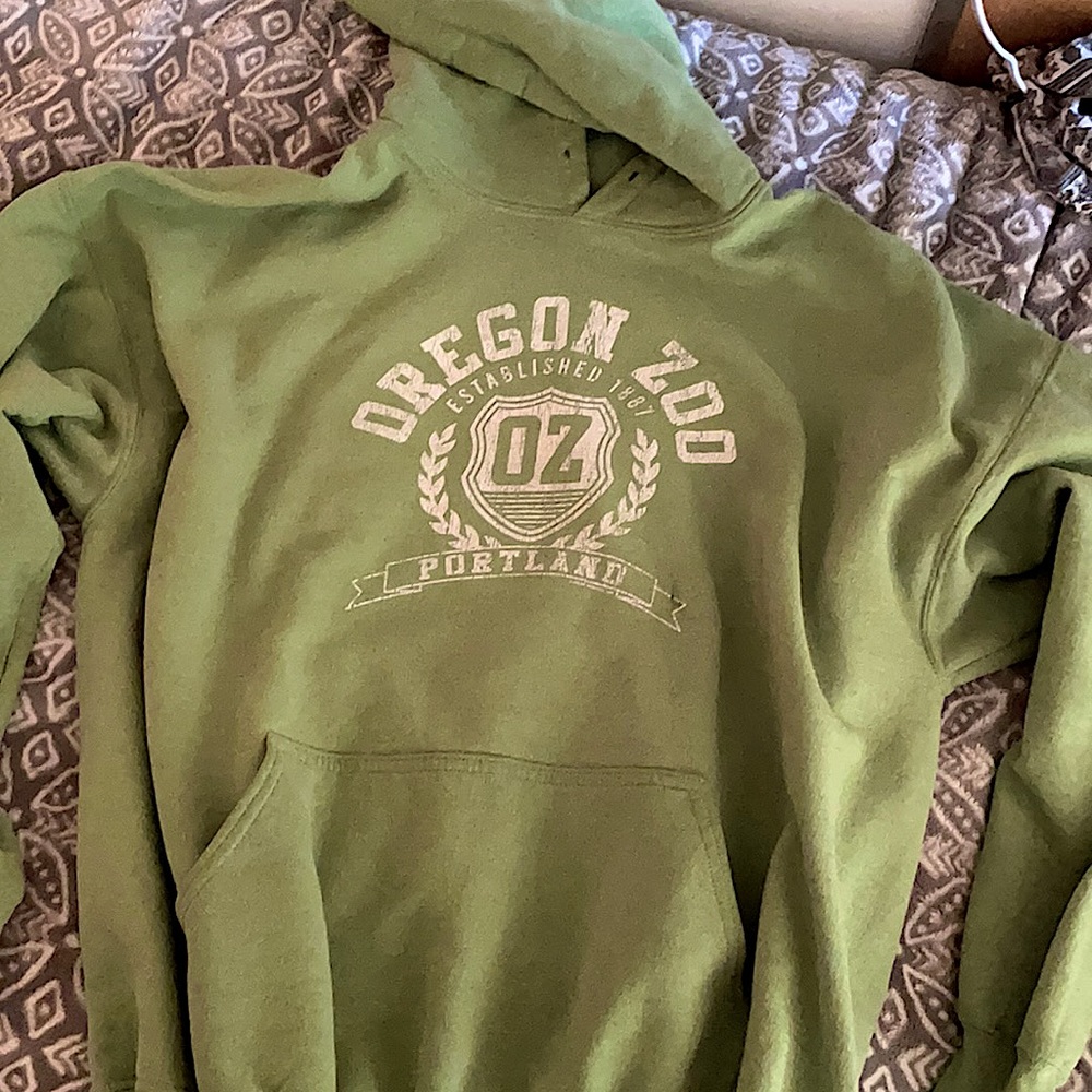 ✨4 for 20✨ vintage hoodie